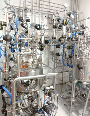 Bioreactors & Fermenters